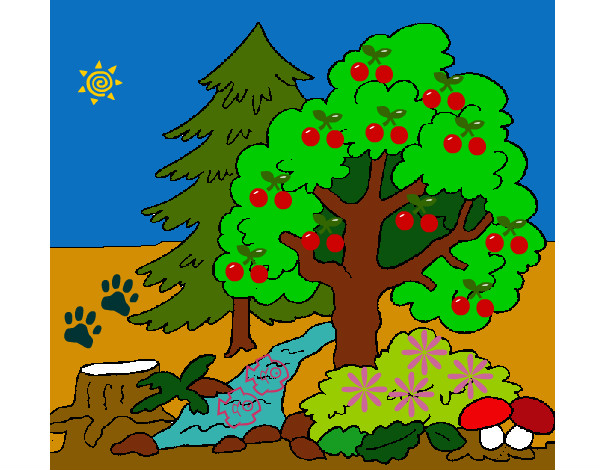 Desenho Bosque pintado por amandadef
