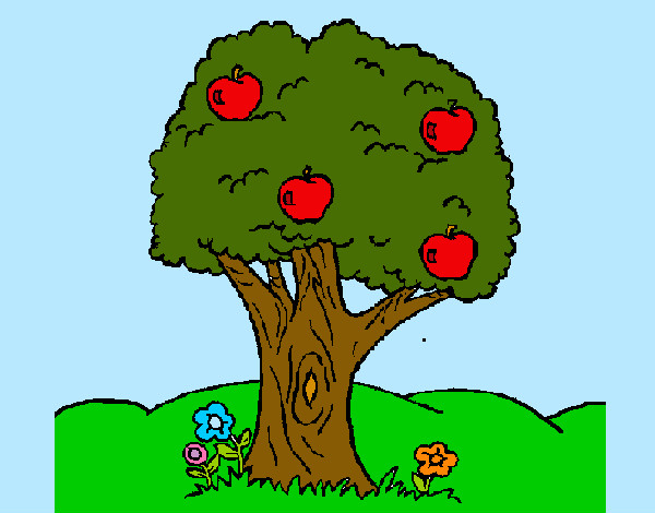 Desenho Macieira  pintado por messi