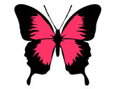 Desenho Borboleta com asas negras pintado por Mirilaine 