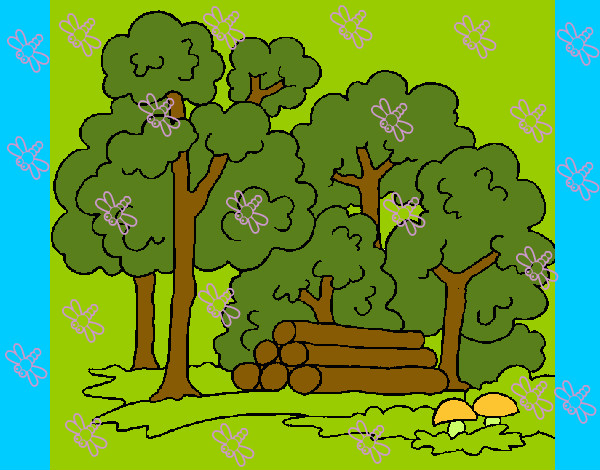 Desenho Bosque pintado por vividora