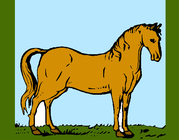 Desenho Cavalo andaluz pintado por edineiacg