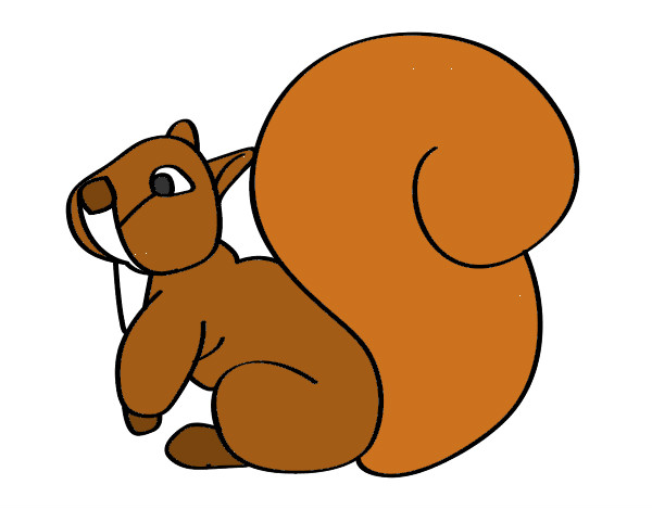 Desenho Esquilo com uma cauda grande pintado por Mirilaine 