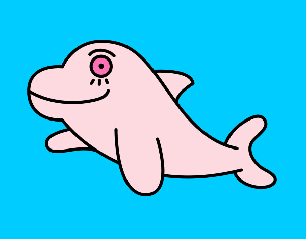 Desenho Golfinho alegre pintado por iara2009