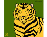 Desenho Tigre pintado por ggghj778