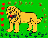 Desenho Cão pigmento pintado por Isabellla