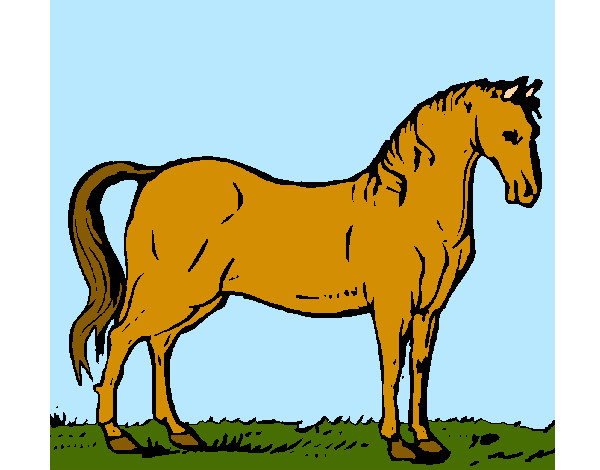 Desenho Cavalo andaluz pintado por ggghj778