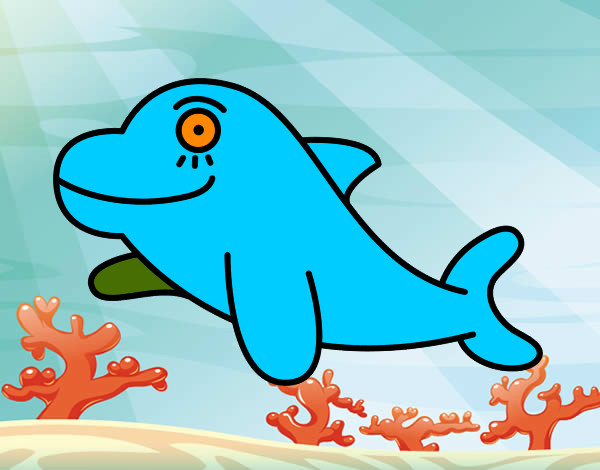 Golfinho alegre