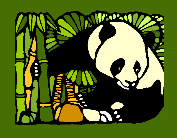 Desenho Urso panda e bambu pintado por rainara