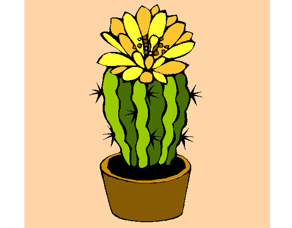 Desenho de Cacto com flor pintado e colorido por Usuário não registrado o  dia 14 de Junho do 2015