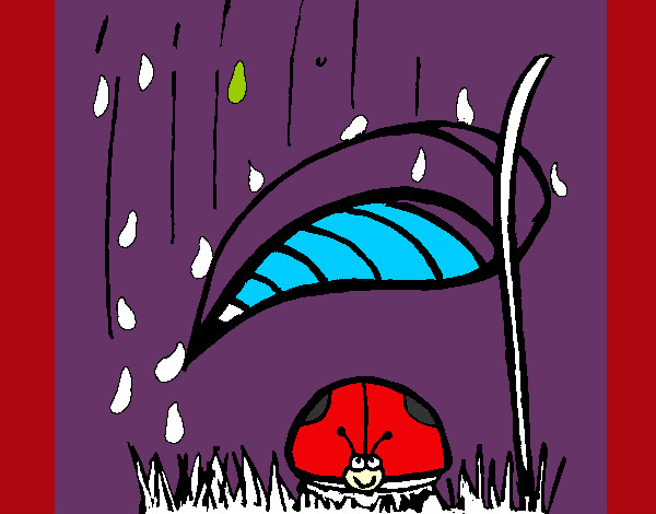 Joaninha protegida da chuva