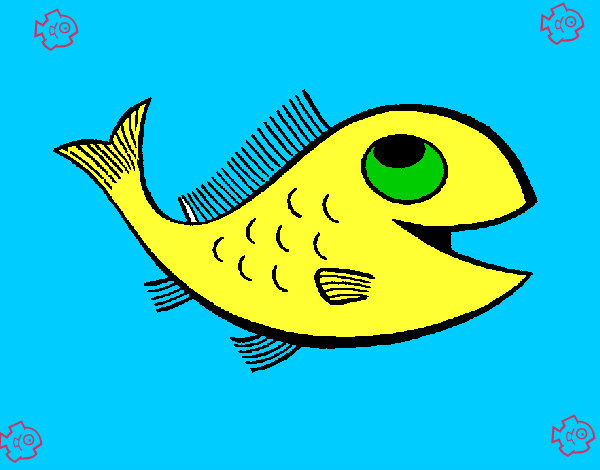 Peixe 1