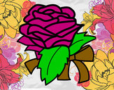 Desenho Rosa, flor pintado por beta28