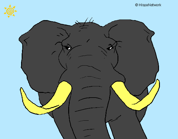 Desenho Elefante africano pintado por Fabioloso