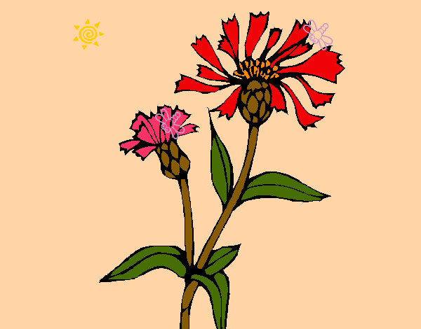 Desenho Flores de campo pintado por roseluis