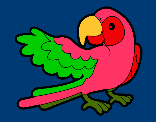 Desenho Papagaio abrir a asa pintado por Anthonyela