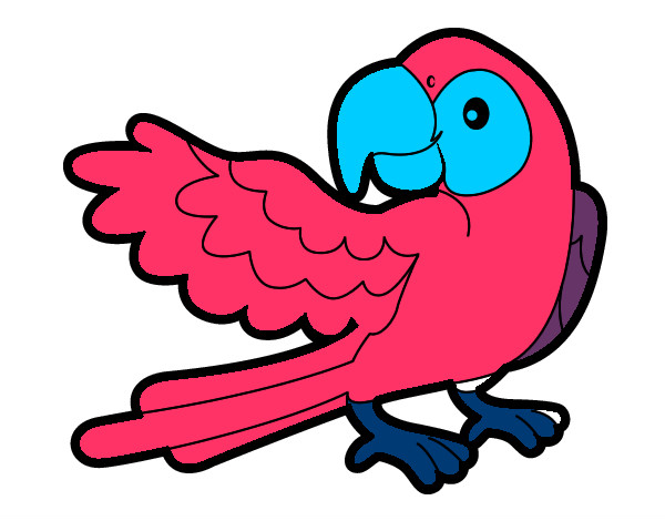 Desenho Papagaio abrir a asa pintado por Victoria1