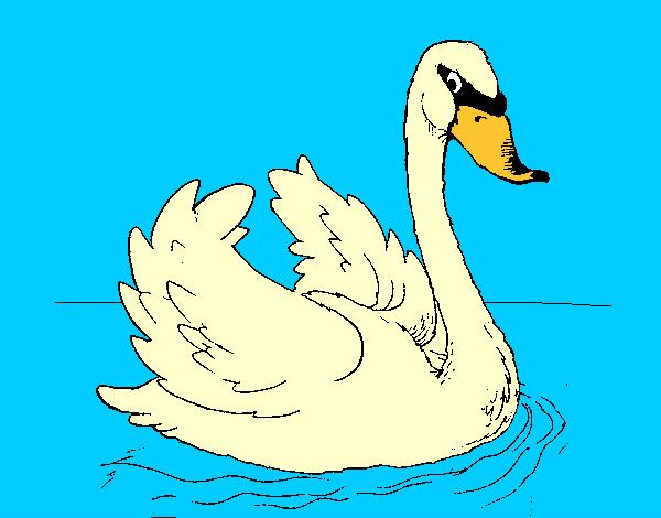 Desenho Cisne na água pintado por loui