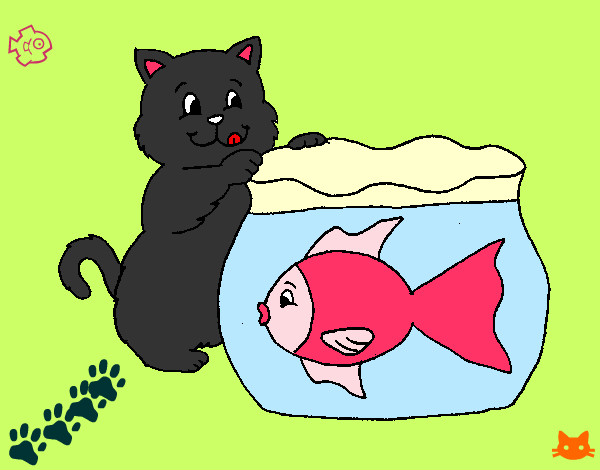 Desenho Gato e peixe pintado por desenhar43