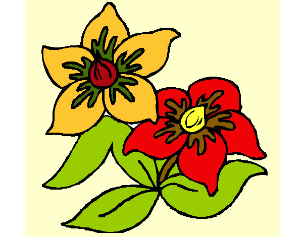 Desenho Flores 3 pintado por annajuan