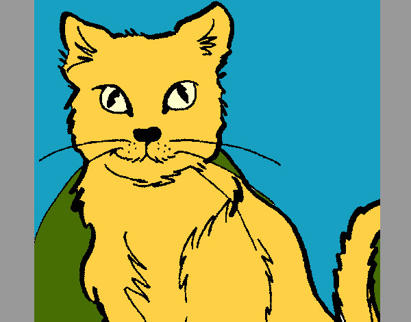 Desenho Gato pintado por danidan