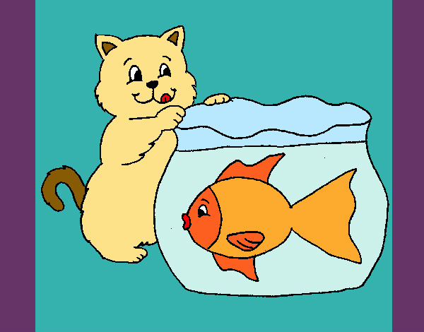 Gato e peixe