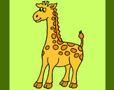 Desenho Girafa 4 pintado por roseluis