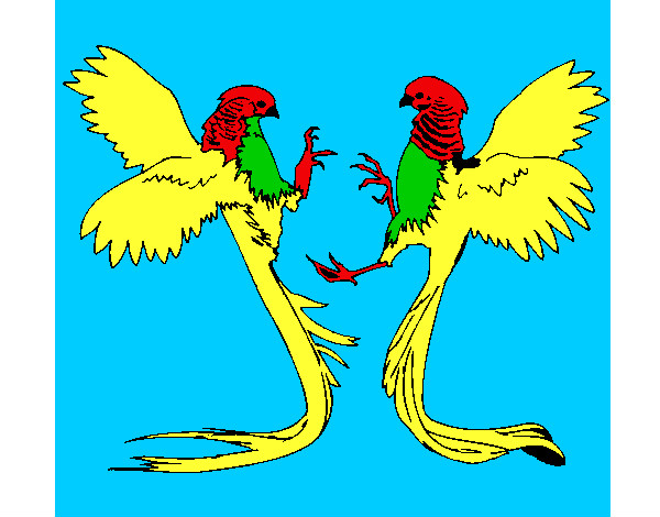 Desenho Aves com caudas grandes pintado por CALEBE