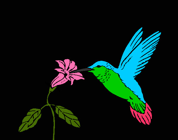 Desenho Colibri e uma flor pintado por PR32