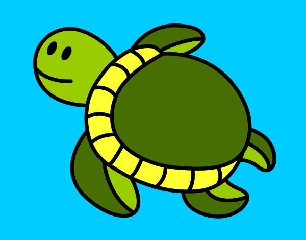 Desenho Tartaruga nadando pintado por ederaldo