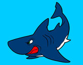 Desenho Tubarão furioso pintado por ederaldo