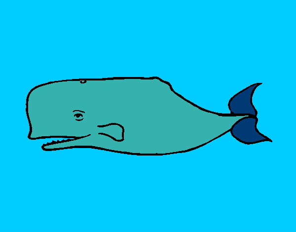 Desenho Baleia azul pintado por thaissa