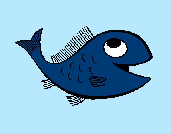 Peixe 1