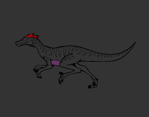 veloseraptor3