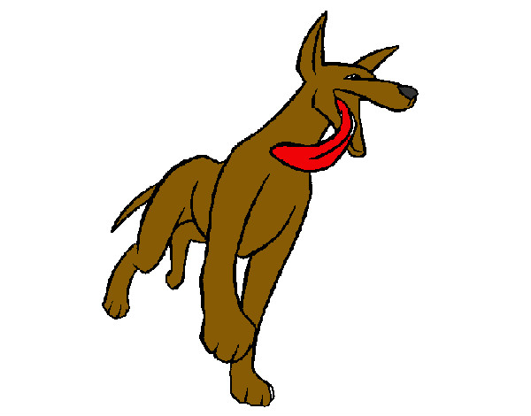 Desenho Cão pintado por  poly