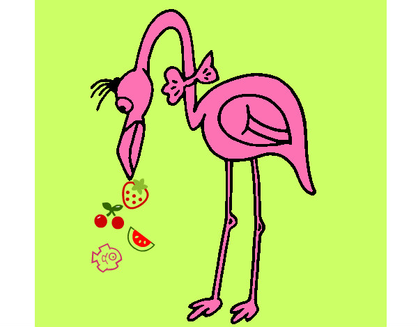 Flamingo com passarita
