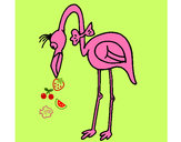 Desenho Flamingo com passarita pintado por Bruna20