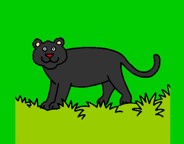 Desenho Panthera  pintado por joaop