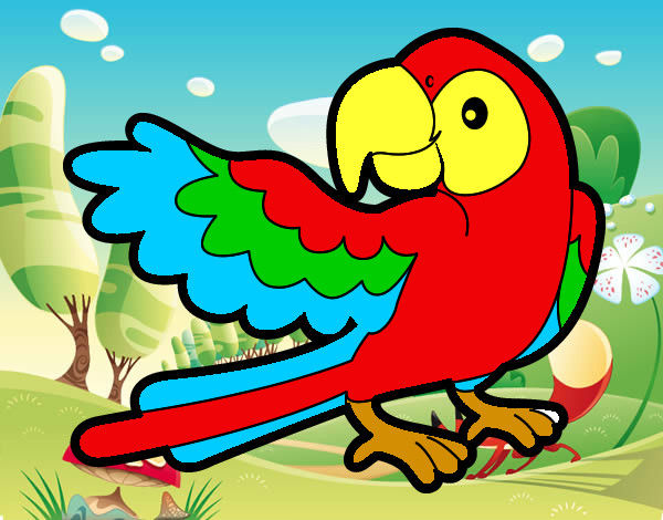 o papagaio colorido