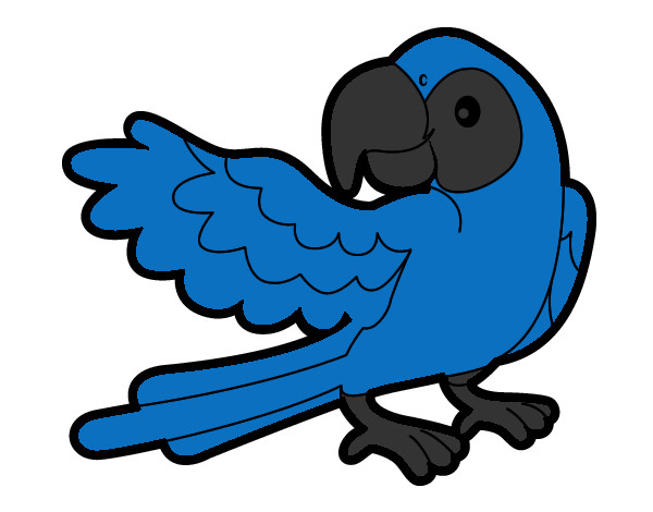 Desenho Papagaio abrir a asa pintado por  poly