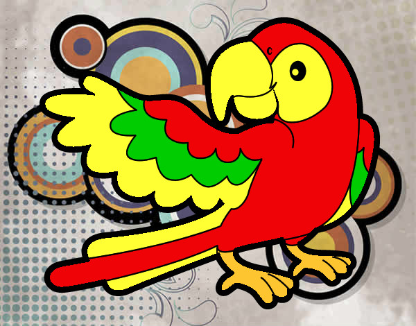 Desenho Papagaio abrir a asa pintado por gigica