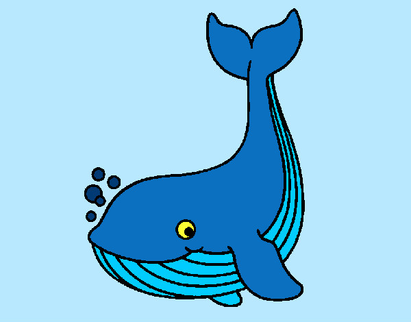 Desenho Pequena baleia pintado por rrosante