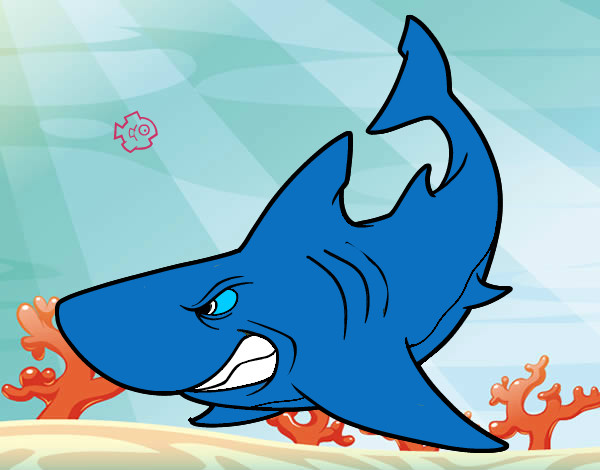 Desenho Tubarão furioso pintado por rrosante