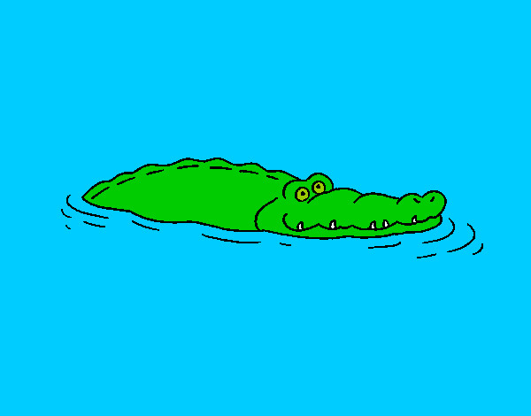 Desenho Crocodilo 2 pintado por LucaManz