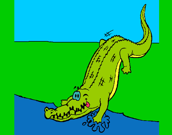 Desenho Crocodilo a entrar na água pintado por LucaManz