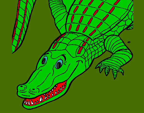 Desenho Crocodilo  pintado por LucaManz