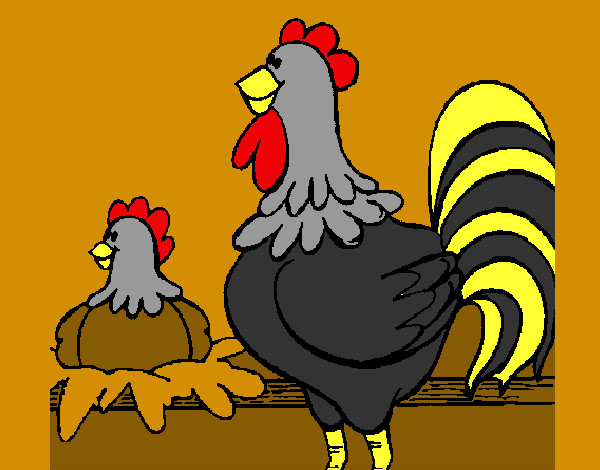 Desenho Galo e galinha pintado por LucaManz