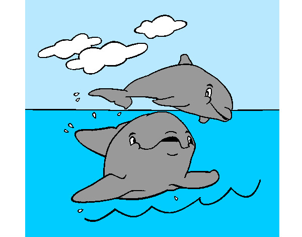Mãe e filho Dolphin
