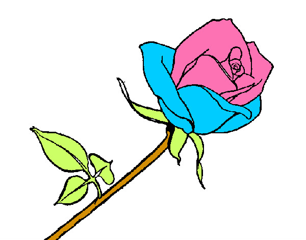 Desenho Rosa pintado por keyllynha