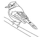 Desenho Pássaro tropical pintado por manovini