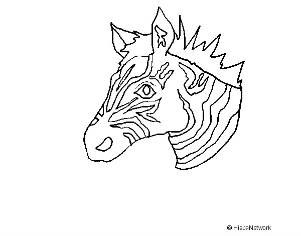 Desenho Zebra II pintado por manovini